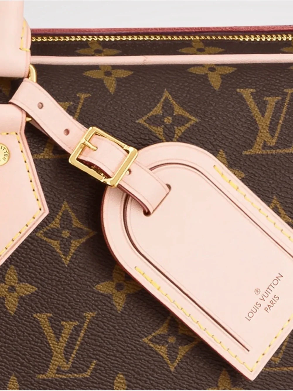 Louis Vuitton Brown Monogram Garment Cover With 2 Hangers